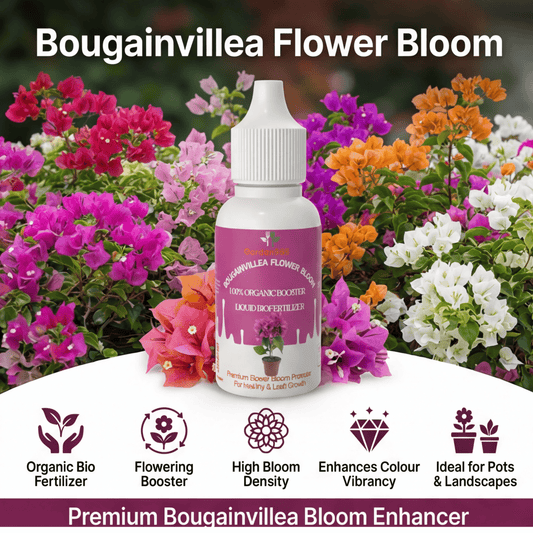 Bougainvillea Flower Bloom – Organic Bio Fertilizer for Bougainvillea 50 ml | Makes upto 10 Ltr