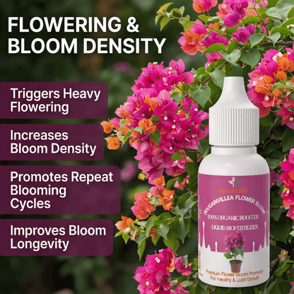 Bougainvillea Flower Bloom – Organic Bio Fertilizer for Bougainvillea 50 ml | Makes upto 10 Ltr