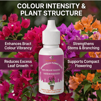 Bougainvillea Flower Bloom – Organic Bio Fertilizer for Bougainvillea 50 ml | Makes upto 10 Ltr