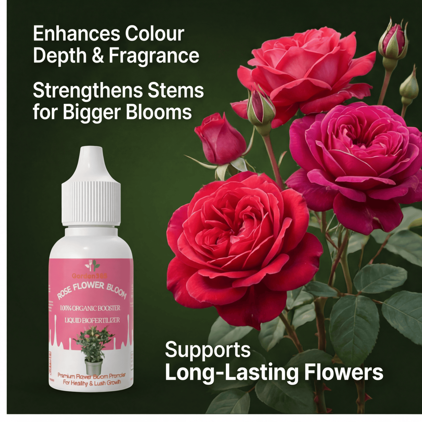 Rose Flower Bloom – Organic Bio Fertilizer for Rose 50 ml | Makes upto 10 Ltr