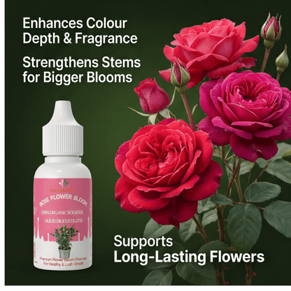 Rose Flower Bloom – Organic Bio Fertilizer for Rose 50 ml | Makes upto 10 Ltr