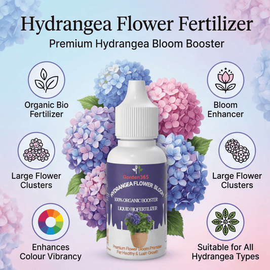 Hydrangea Flower Bloom – Organic Bio Fertilizer for Hydrangea 50 ml | Makes upto 10 Ltr