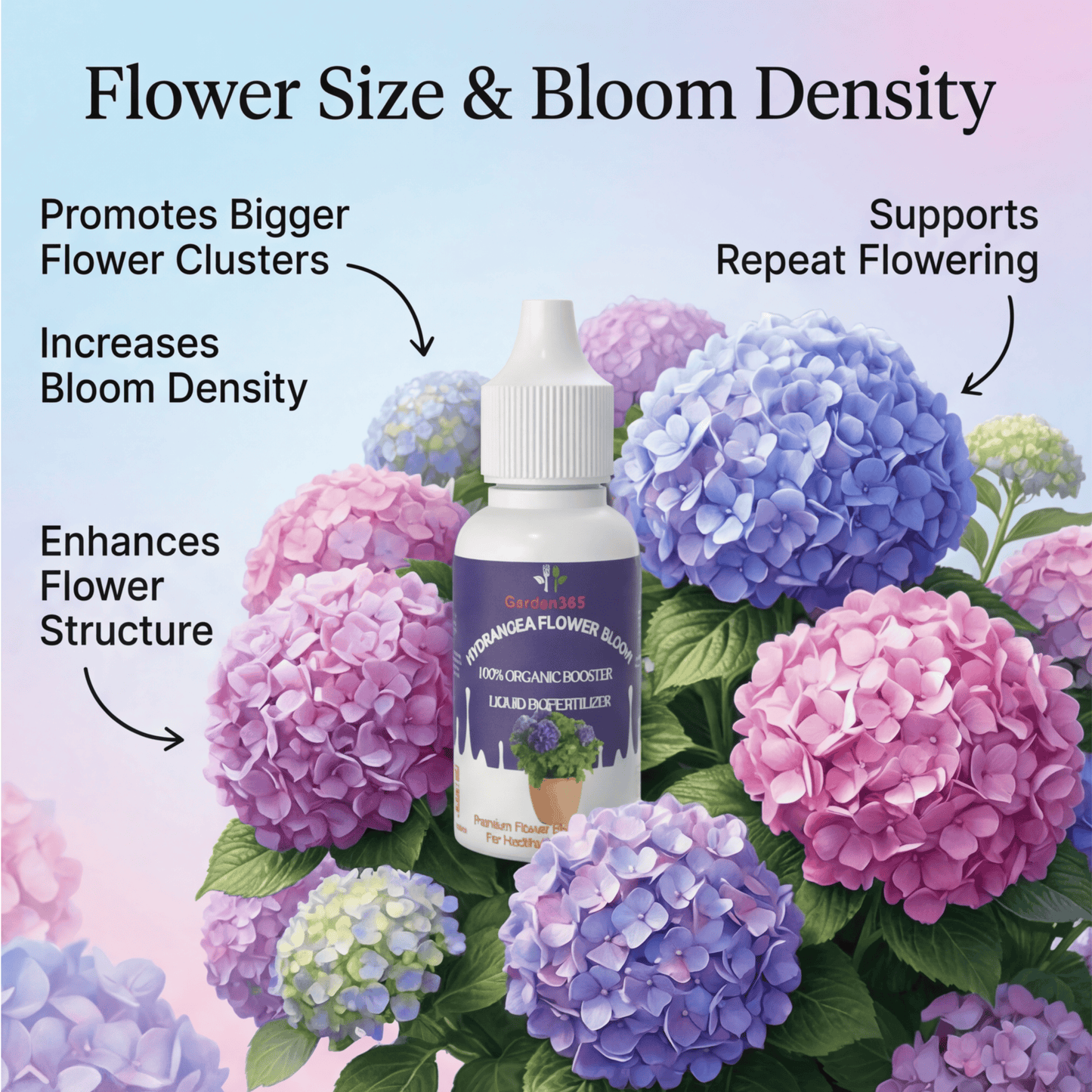 Hydrangea Flower Bloom – Organic Bio Fertilizer for Hydrangea 50 ml | Makes upto 10 Ltr