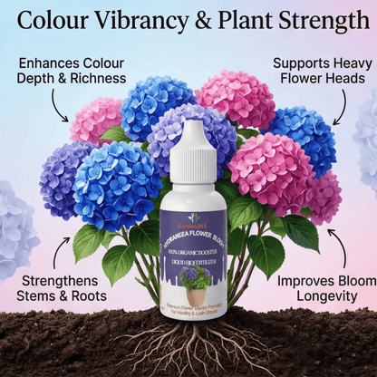 Hydrangea Flower Bloom – Organic Bio Fertilizer for Hydrangea 50 ml | Makes upto 10 Ltr
