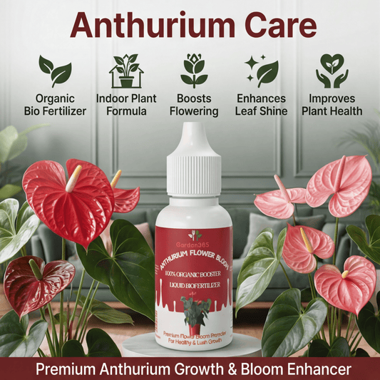 Anthurium Flower Bloom – Organic Bio Fertilizer for Anthurium 50 ml | Makes upto 10 Ltr