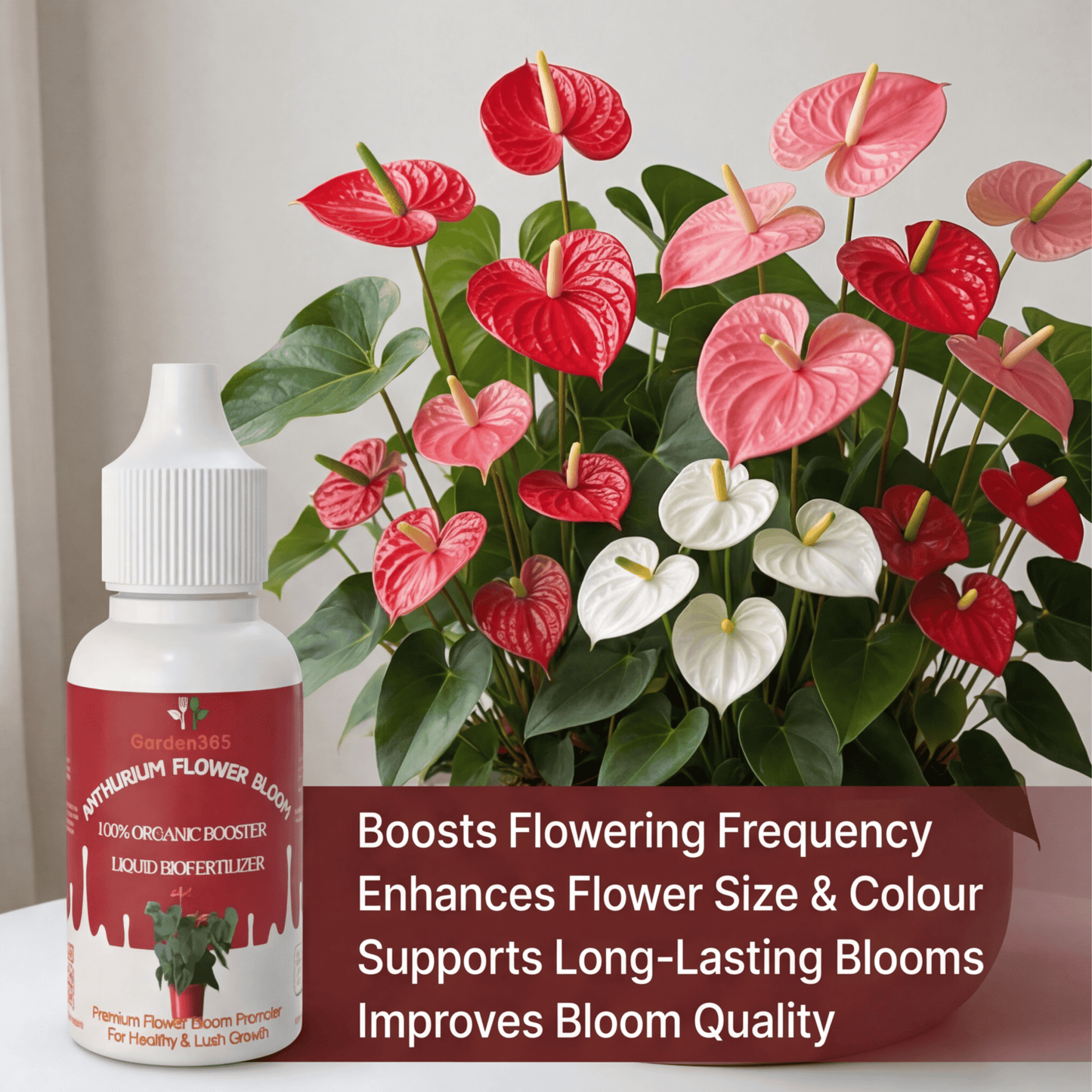Anthurium Flower Bloom – Organic Bio Fertilizer for Anthurium 50 ml | Makes upto 10 Ltr