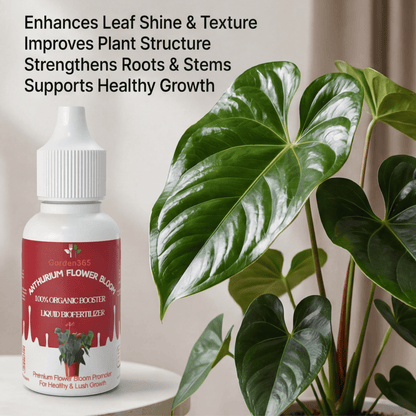 Anthurium Flower Bloom – Organic Bio Fertilizer for Anthurium 50 ml | Makes upto 10 Ltr