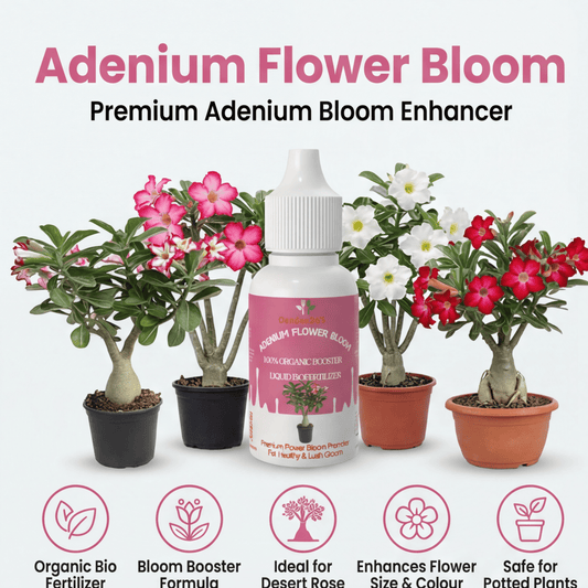 Adenium Flower Bloom – Organic Bio Fertilizer for Adenium 50 ml | Makes upto 10 Ltr