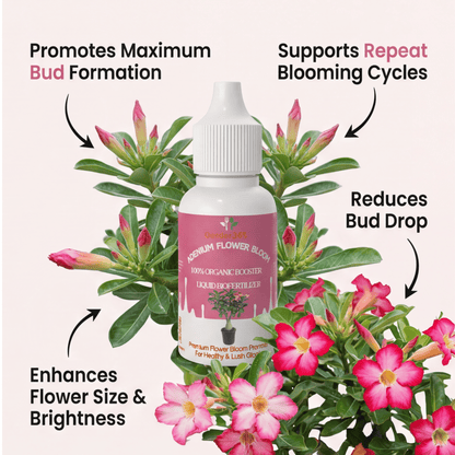 Adenium Flower Bloom – Organic Bio Fertilizer for Adenium 50 ml | Makes upto 10 Ltr