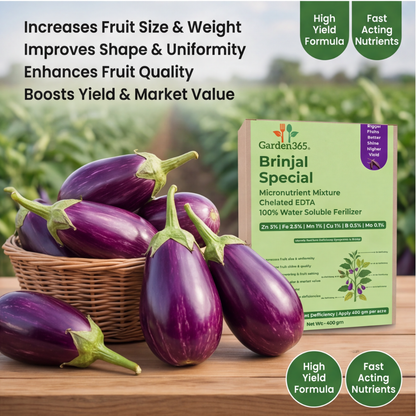 Brinjal Special Micronutrient Fertilizer  (बैंगन | ಬದನೆಕಾಯಿ | వంకాయ | கத்திரிக்காய் | വഴുതന)  EDTA Chelated 100% Water Soluble Fertilizer – 400g per Acre