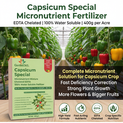 Capsicum Special Micronutrient Fertilizer  (शिमला मिर्च | ಕ್ಯಾಪ್ಸಿಕಂ | క్యాప్సికం | குடைமிளகாய் | ക്യാപ്സിക്കം)  EDTA Chelated 100% Water Soluble Fertilizer – 400g per Acre