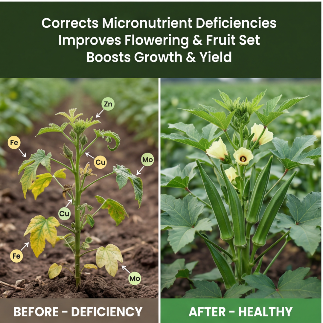 Okra Special Micronutrient Fertilizer  (भिंडी | ಬೆಂಡೆಕಾಯಿ | బెండకాయ | வெண்டைக்காய் | വെണ്ടക്ക)  EDTA Chelated 100% Water Soluble Fertilizer – 400g per Acre