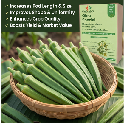 Okra Special Micronutrient Fertilizer  (भिंडी | ಬೆಂಡೆಕಾಯಿ | బెండకాయ | வெண்டைக்காய் | വെണ്ടക്ക)  EDTA Chelated 100% Water Soluble Fertilizer – 400g per Acre