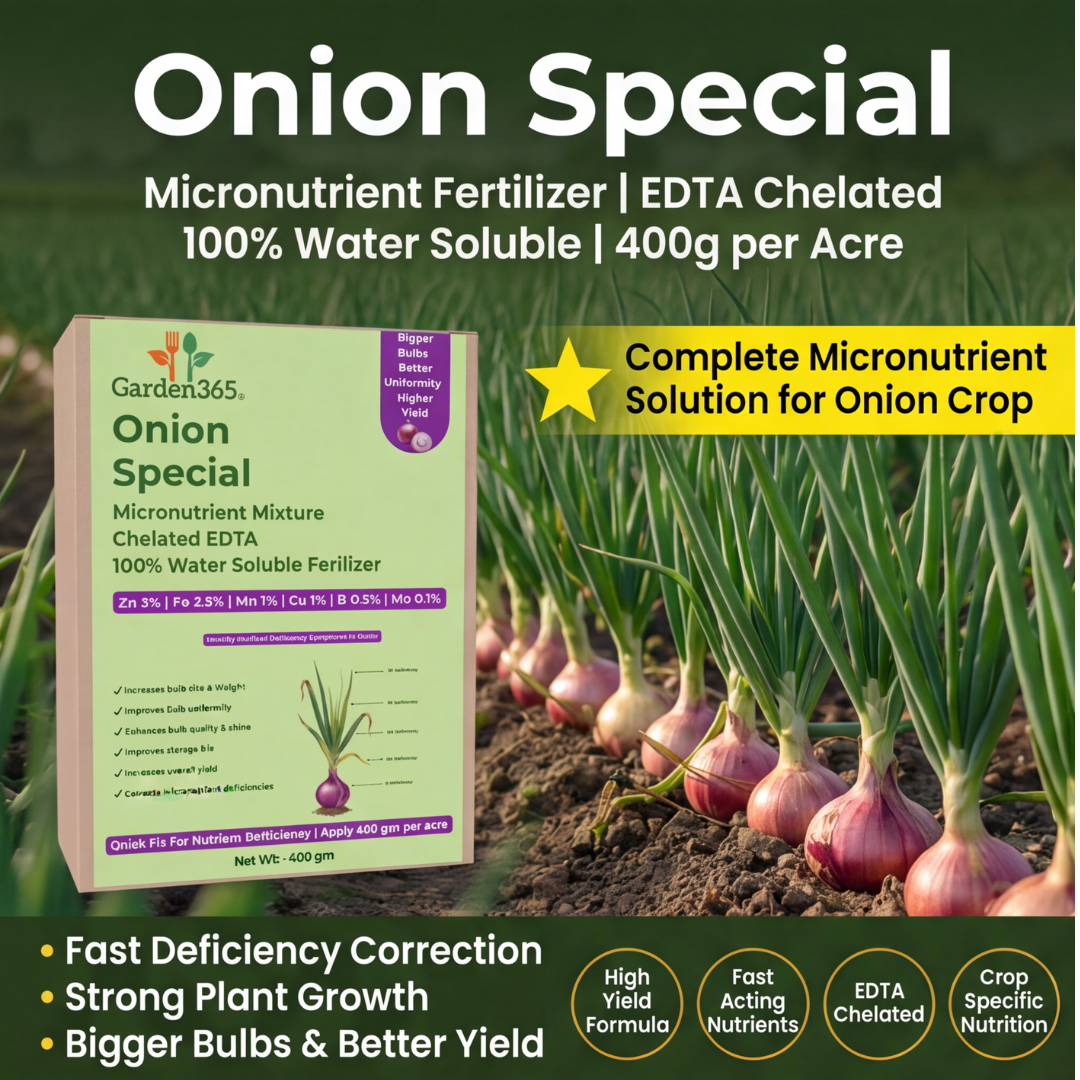 Onion Special Micronutrient Fertilizer  (प्याज | ಈರುಳ್ಳಿ | ఉల్లిపాయ | வெங்காயம் | ഉള്ളി)  EDTA Chelated 100% Water Soluble Fertilizer – 400g per Acre