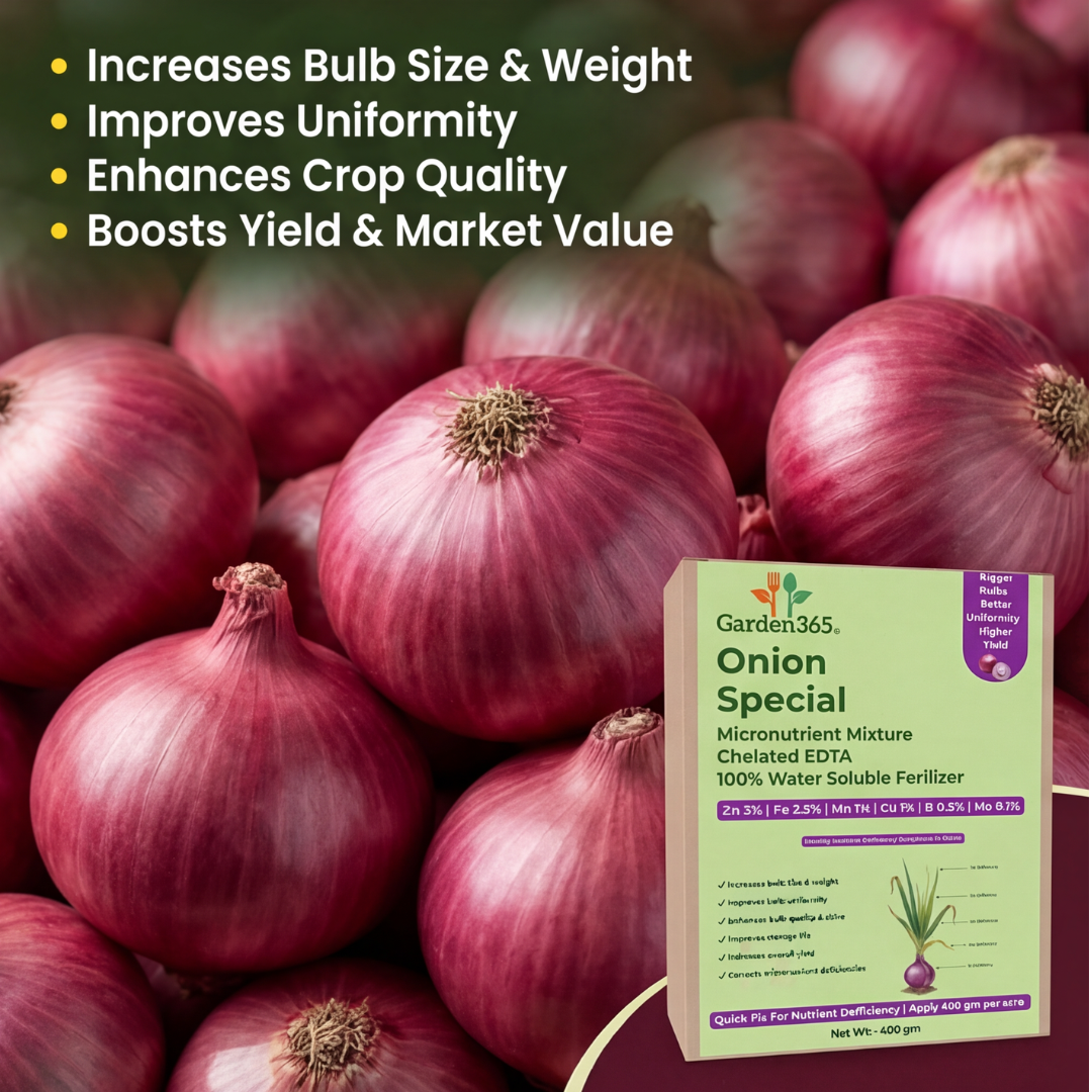Onion Special Micronutrient Fertilizer  (प्याज | ಈರುಳ್ಳಿ | ఉల్లిపాయ | வெங்காயம் | ഉള്ളി)  EDTA Chelated 100% Water Soluble Fertilizer – 400g per Acre