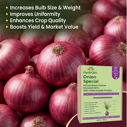 Onion Special Micronutrient Fertilizer  (प्याज | ಈರುಳ್ಳಿ | ఉల్లిపాయ | வெங்காயம் | ഉള്ളി)  EDTA Chelated 100% Water Soluble Fertilizer – 400g per Acre