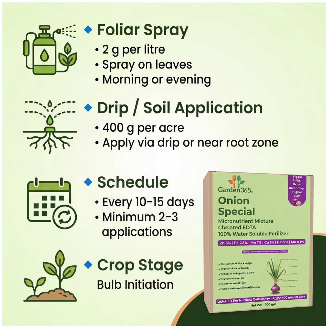 Onion Special Micronutrient Fertilizer  (प्याज | ಈರುಳ್ಳಿ | ఉల్లిపాయ | வெங்காயம் | ഉള്ളി)  EDTA Chelated 100% Water Soluble Fertilizer – 400g per Acre