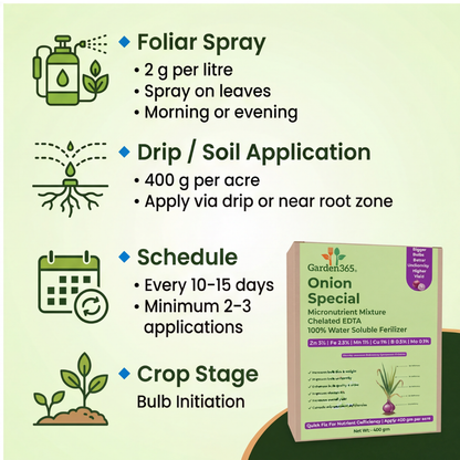Onion Special Micronutrient Fertilizer  (प्याज | ಈರುಳ್ಳಿ | ఉల్లిపాయ | வெங்காயம் | ഉള്ളി)  EDTA Chelated 100% Water Soluble Fertilizer – 400g per Acre