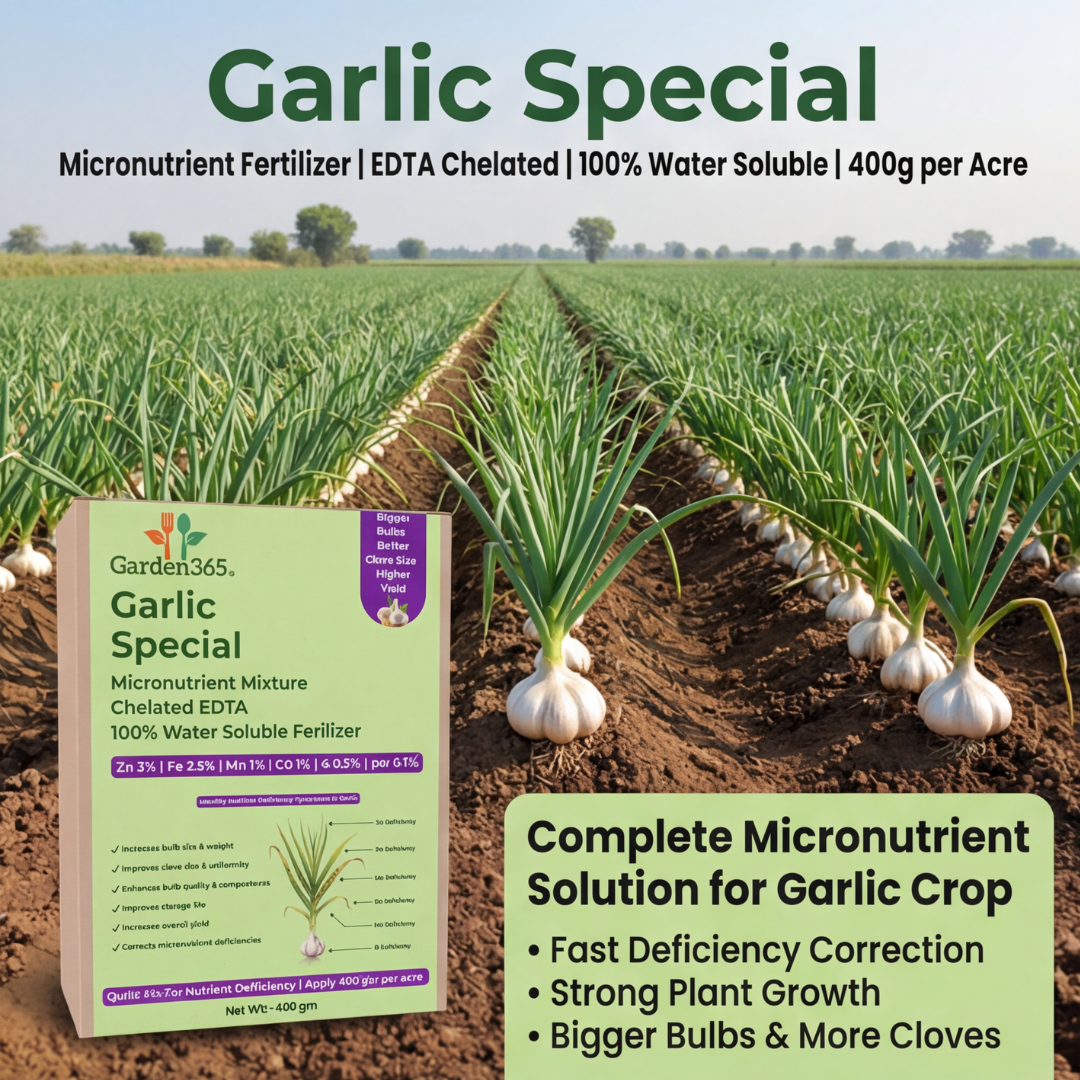 Garlic Special Micronutrient Fertilizer  (लहसुन | ಬೆಳ್ಳುಳ್ಳಿ | వెల్లుల్లి | பூண்டு | വെളുത്തുള്ളി)  EDTA Chelated 100% Water Soluble Fertilizer – 400g per Acre
