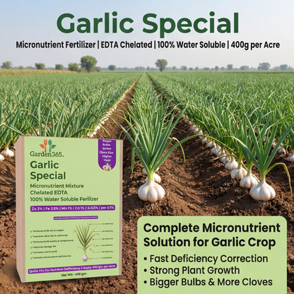 Garlic Special Micronutrient Fertilizer  (लहसुन | ಬೆಳ್ಳುಳ್ಳಿ | వెల్లుల్లి | பூண்டு | വെളുത്തുള്ളി)  EDTA Chelated 100% Water Soluble Fertilizer – 400g per Acre