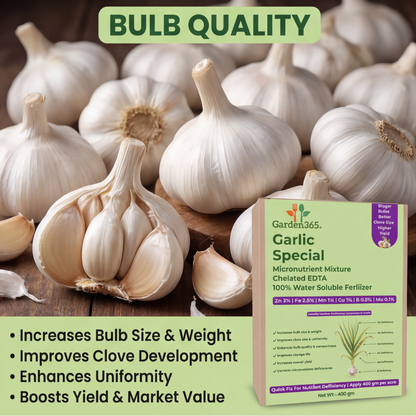 Garlic Special Micronutrient Fertilizer  (लहसुन | ಬೆಳ್ಳುಳ್ಳಿ | వెల్లుల్లి | பூண்டு | വെളുത്തുള്ളി)  EDTA Chelated 100% Water Soluble Fertilizer – 400g per Acre