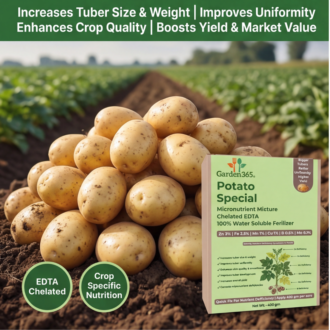 Potato Special Micronutrient Fertilizer  (आलू | ಆಲೂಗಡ್ಡೆ | బంగాళదుంప | உருளைக்கிழங்கு | ഉരുളക്കിഴങ്ങ്)  EDTA Chelated 100% Water Soluble Fertilizer – 400g per Acre
