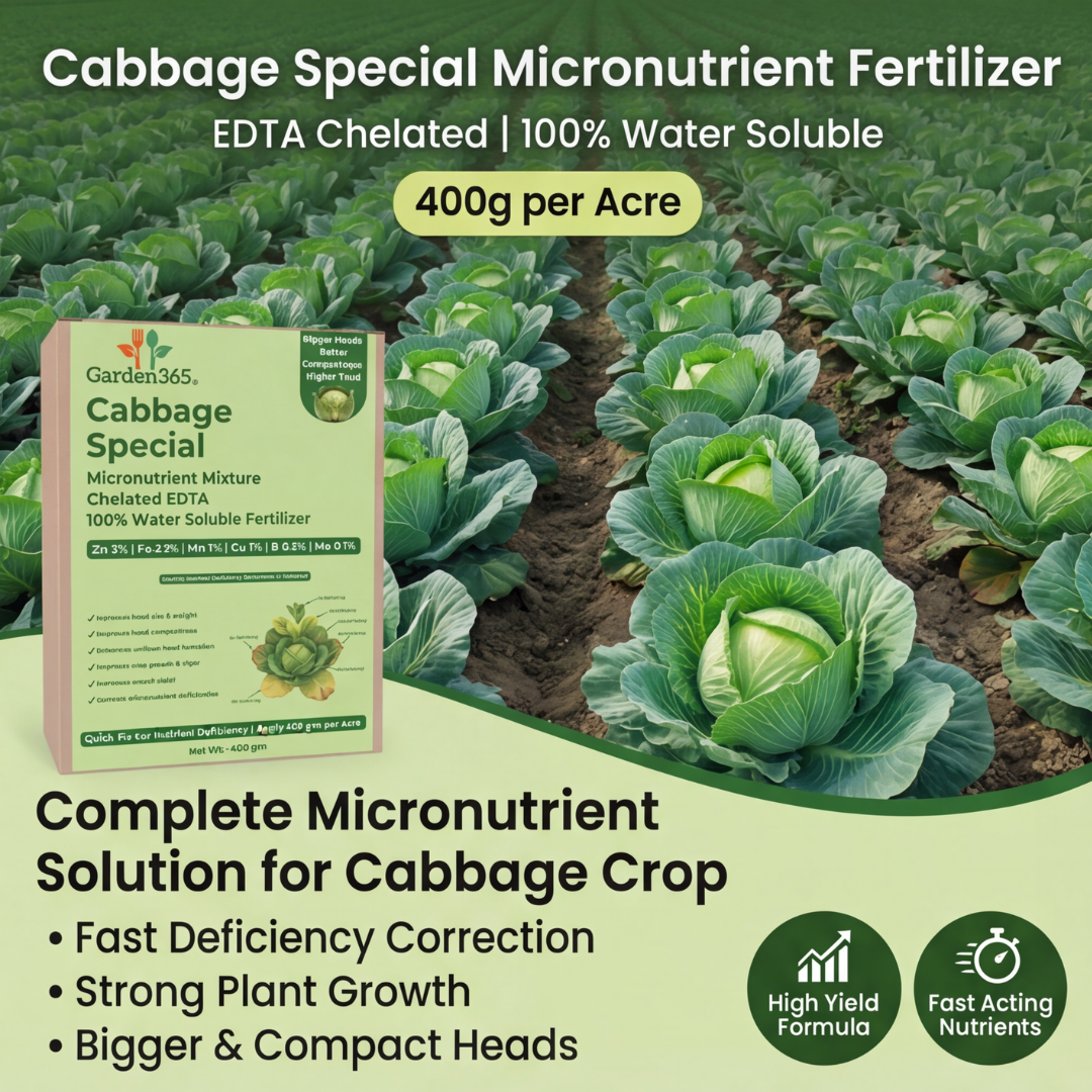Cabbage Special Micronutrient Fertilizer  (पत्ता गोभी | ಎಲೆಕೋಸು | క్యాబేజీ | முட்டைக்கோஸ் | കാബേജ്)  EDTA Chelated 100% Water Soluble Fertilizer – 400g per Acre