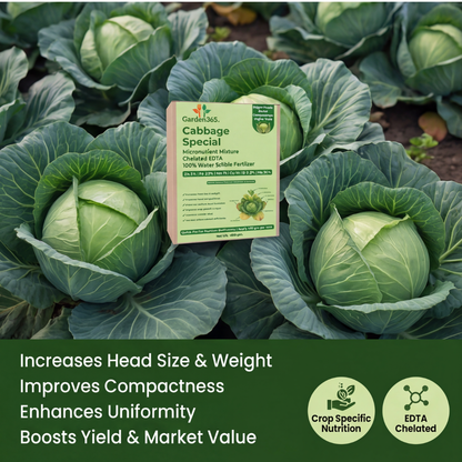 Cabbage Special Micronutrient Fertilizer  (पत्ता गोभी | ಎಲೆಕೋಸು | క్యాబేజీ | முட்டைக்கோஸ் | കാബേജ്)  EDTA Chelated 100% Water Soluble Fertilizer – 400g per Acre