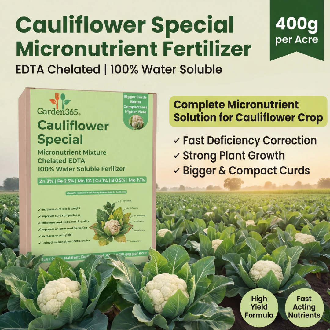 Cauliflower Special Micronutrient Fertilizer  (फूलगोभी | ಹೂಕೋಸು | కాలీఫ్లవర్ | காலிஃபிளவர் | കോളിഫ്ലവർ)  EDTA Chelated 100% Water Soluble Fertilizer – 400g per Acre