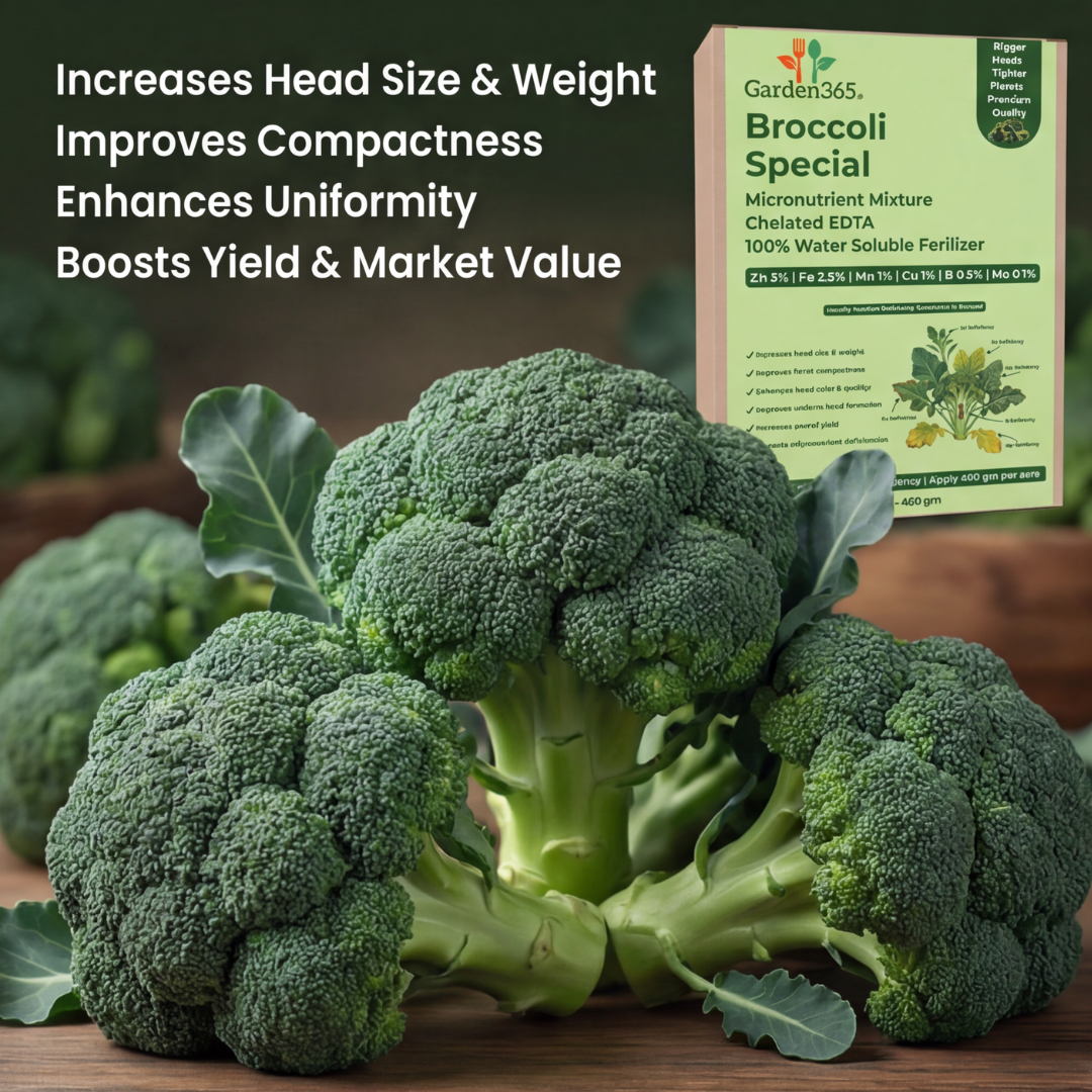 Broccoli Special Micronutrient Fertilizer  (ब्रोकोली | ಬ್ರೋಕೋಲಿ | బ్రోకోలీ | ப்ரோக்கோலி | ബ്രോക്കോളി)  EDTA Chelated 100% Water Soluble Fertilizer – 400g per Acre