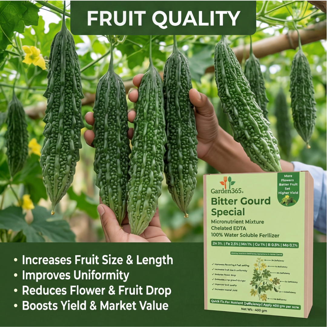 Bitter Gourd Special Micronutrient Fertilizer  (करेला | ಹಾಗಲಕಾಯಿ | కాకరకాయ | பாகற்காய் | പാവയ്ക്ക)  EDTA Chelated 100% Water Soluble Fertilizer – 400g per Acre