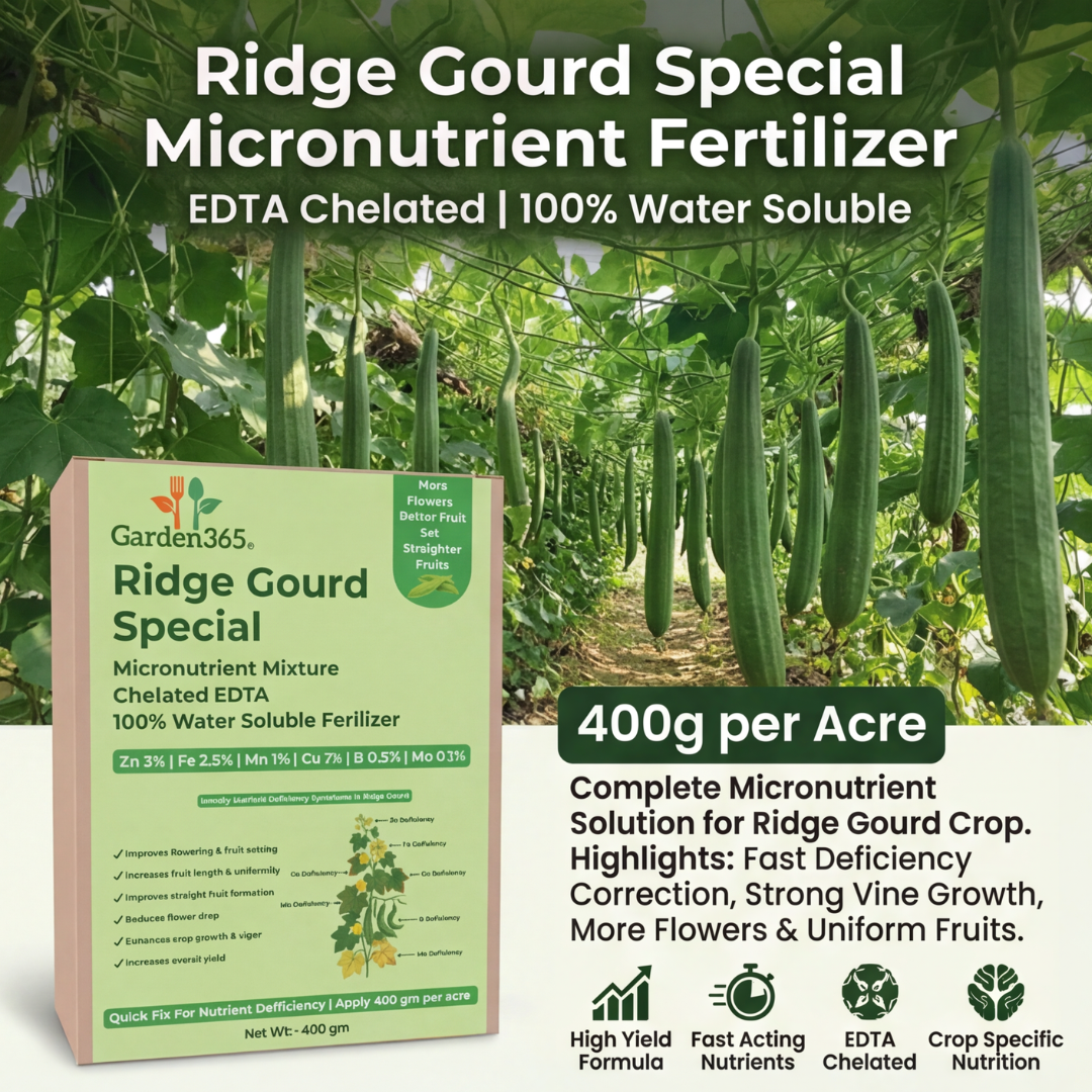 Ridge Gourd Special Micronutrient Fertilizer  (तुरई | ಹೀರೇಕಾಯಿ | బీరకాయ | பீர்க்கங்காய் | പീച്ചിങ്ങ)  EDTA Chelated 100% Water Soluble Fertilizer – 400g per Acre