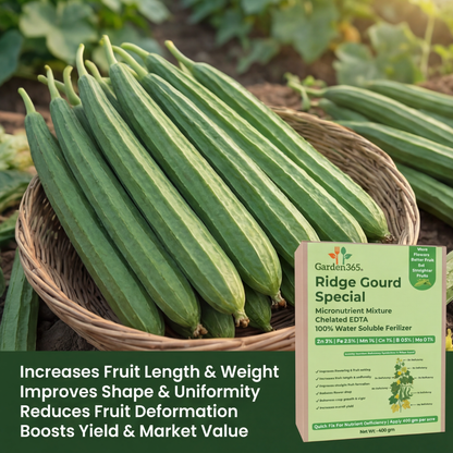 Ridge Gourd Special Micronutrient Fertilizer  (तुरई | ಹೀರೇಕಾಯಿ | బీరకాయ | பீர்க்கங்காய் | പീച്ചിങ്ങ)  EDTA Chelated 100% Water Soluble Fertilizer – 400g per Acre