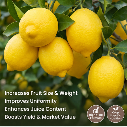 Lemon Special Micronutrient Fertilizer  (नींबू | ನಿಂಬೆ | నిమ్మకాయ | எலுமிச்சை | നാരങ്ങ)  EDTA Chelated 100% Water Soluble Fertilizer – 400g per Acre