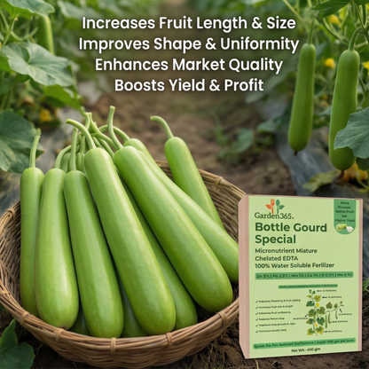 Bottle Gourd Special Micronutrient Fertilizer  (लौकी | ಸೊರೆಕಾಯಿ | సొరకాయ | சுரைக்காய் | ചുരക്ക)  EDTA Chelated 100% Water Soluble Fertilizer – 400g per Acre