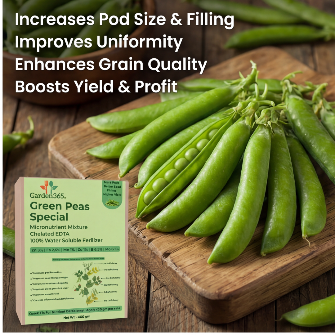 Green Peas Special Micronutrient Fertilizer  (मटर | ಬಟಾಣಿ | బఠాణీ | பட்டாணி | പച്ചപ്പയർ)  EDTA Chelated 100% Water Soluble Fertilizer – 400g per Acre