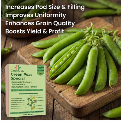 Green Peas Special Micronutrient Fertilizer  (मटर | ಬಟಾಣಿ | బఠాణీ | பட்டாணி | പച്ചപ്പയർ)  EDTA Chelated 100% Water Soluble Fertilizer – 400g per Acre