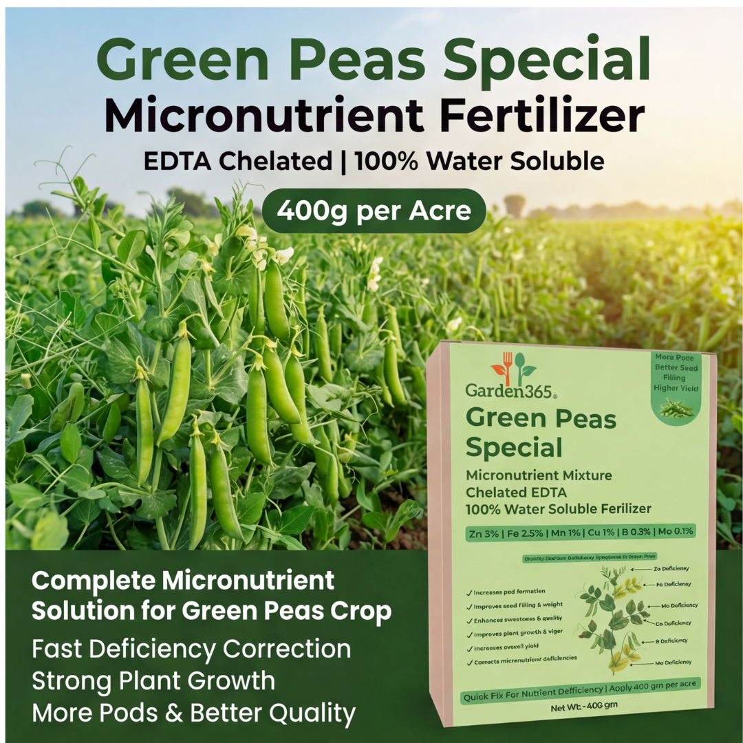 Green Peas Special Micronutrient Fertilizer  (मटर | ಬಟಾಣಿ | బఠాణీ | பட்டாணி | പച്ചപ്പയർ)  EDTA Chelated 100% Water Soluble Fertilizer – 400g per Acre