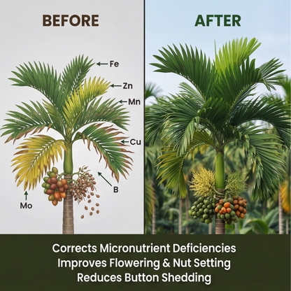 Arecanut Special Micronutrient Fertilizer  (सुपारी | ಅಡಿಕೆ | పొగాకు | பாக்கு | അടക്ക)  EDTA Chelated 100% Water Soluble Fertilizer – 400g per Acre