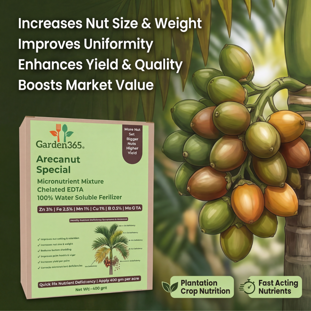 Arecanut Special Micronutrient Fertilizer  (सुपारी | ಅಡಿಕೆ | పొగాకు | பாக்கு | അടക്ക)  EDTA Chelated 100% Water Soluble Fertilizer – 400g per Acre