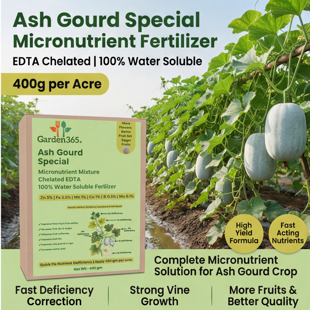 Ash Gourd Special Micronutrient Fertilizer  (पेटा | ಬೂದು ಕುಂಬಳಕಾಯಿ | బూడిద గుమ్మడికాయ | பூசணிக்காய் | കുമ്പളങ്ങ)  EDTA Chelated 100% Water Soluble Fertilizer – 400g per Acre