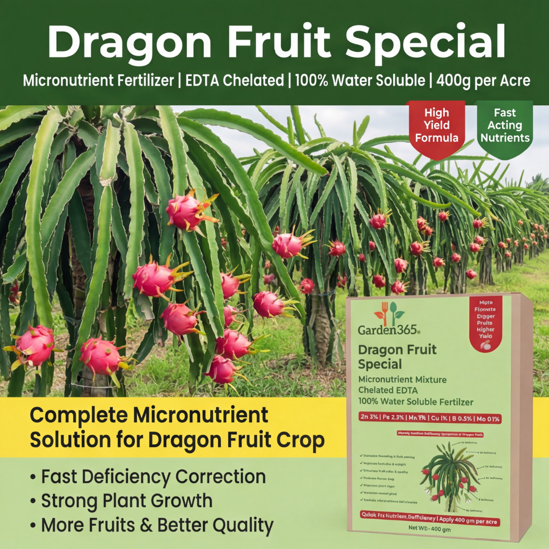 Dragon Fruit Special Micronutrient Fertilizer  (ड्रैगन फ्रूट | ಡ್ರ್ಯಾಗನ್ ಹಣ್ಣು | డ్రాగన్ ఫ్రూట్ | டிராகன் பழம் | ഡ്രാഗൺ ഫ്രൂട്ട്)  EDTA Chelated 100% Water Soluble Fertilizer – 400g per Acre