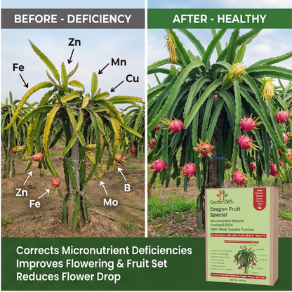 Dragon Fruit Special Micronutrient Fertilizer  (ड्रैगन फ्रूट | ಡ್ರ್ಯಾಗನ್ ಹಣ್ಣು | డ్రాగన్ ఫ్రూట్ | டிராகன் பழம் | ഡ്രാഗൺ ഫ്രൂട്ട്)  EDTA Chelated 100% Water Soluble Fertilizer – 400g per Acre