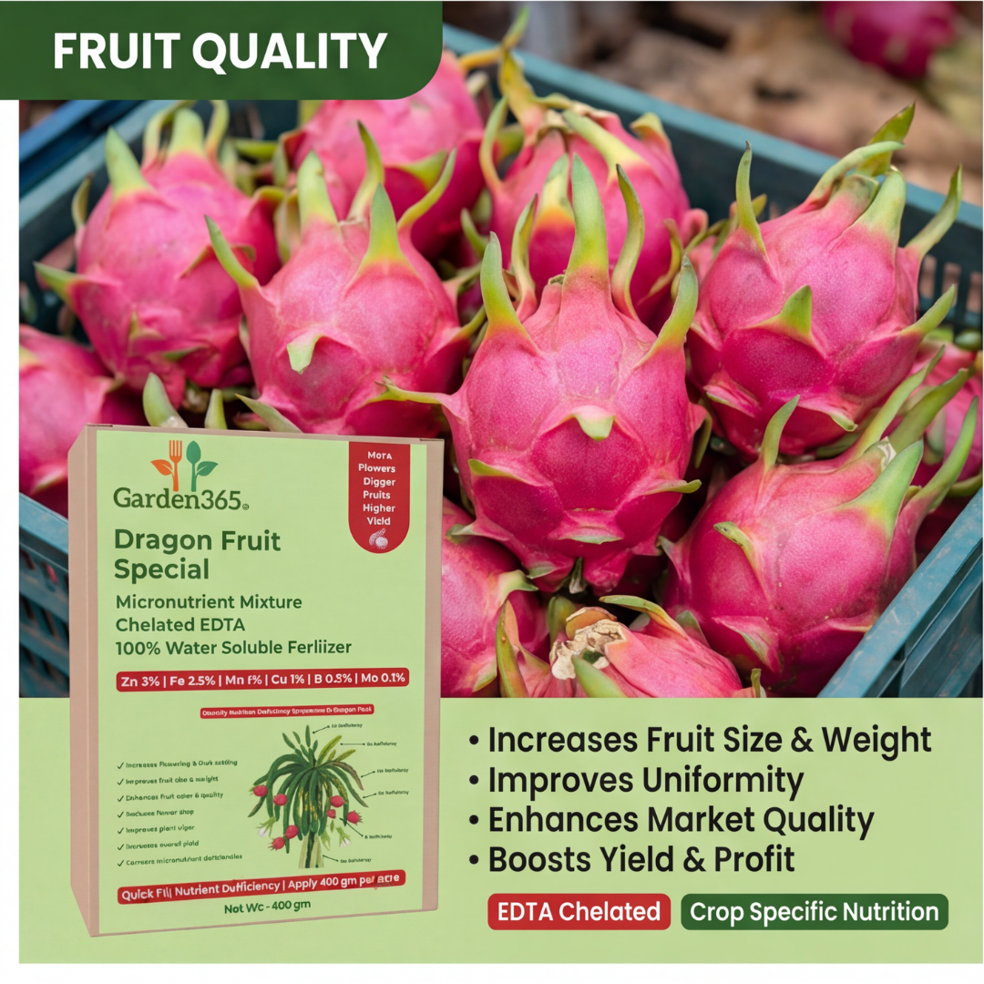 Dragon Fruit Special Micronutrient Fertilizer  (ड्रैगन फ्रूट | ಡ್ರ್ಯಾಗನ್ ಹಣ್ಣು | డ్రాగన్ ఫ్రూట్ | டிராகன் பழம் | ഡ്രാഗൺ ഫ്രൂട്ട്)  EDTA Chelated 100% Water Soluble Fertilizer – 400g per Acre