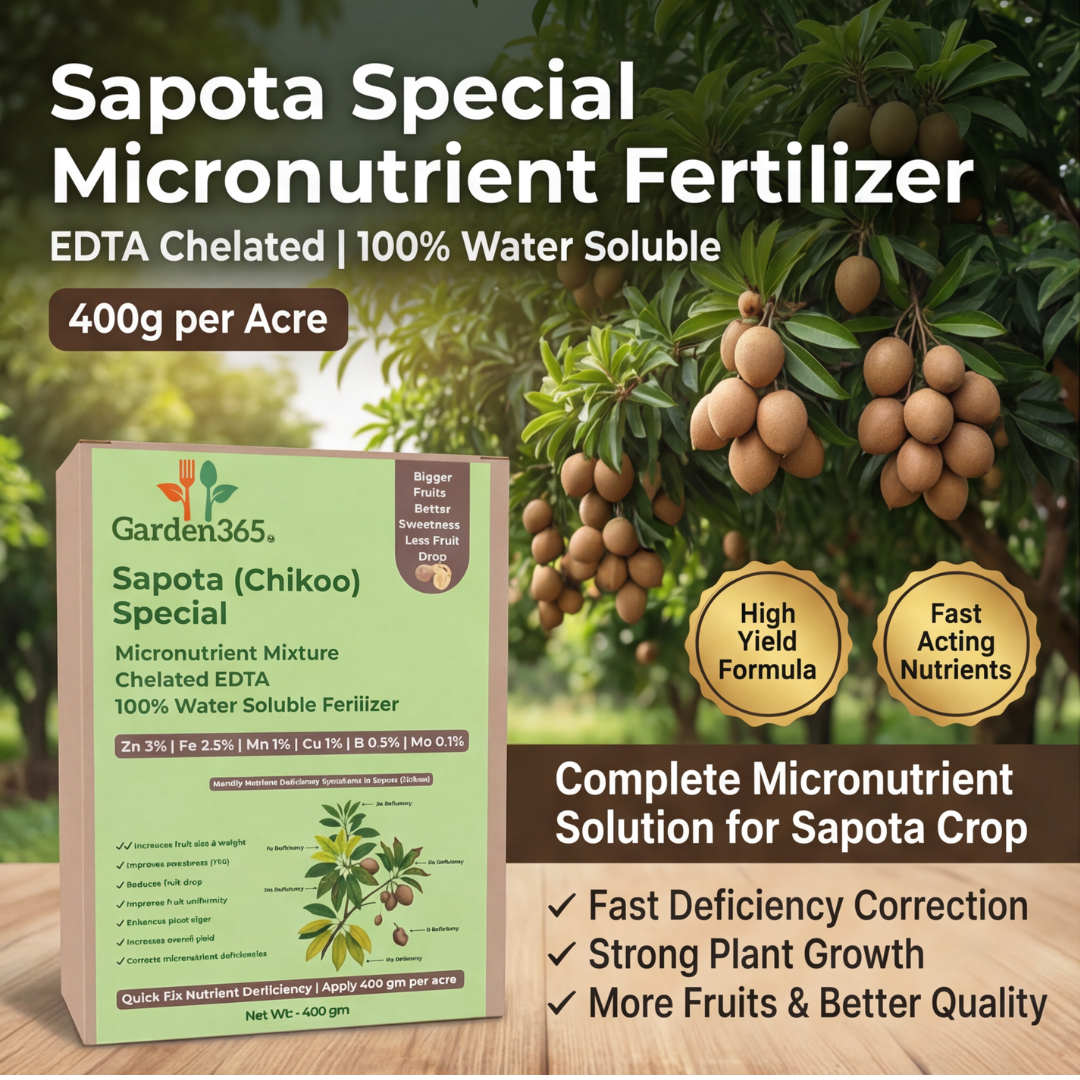 Sapota (Chikoo) Special Micronutrient Fertilizer  (चीकू | ಸಪೋಟಾ | సపోటా | சப்போட்டா | സപ്പോട്ട)  EDTA Chelated 100% Water Soluble Fertilizer – 400g per Acre