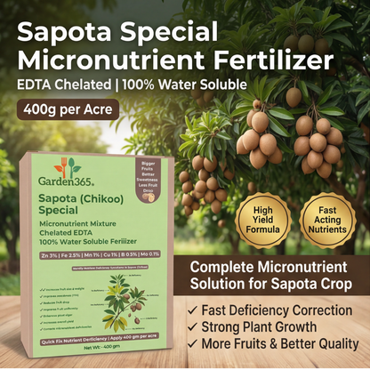 Sapota (Chikoo) Special Micronutrient Fertilizer  (चीकू | ಸಪೋಟಾ | సపోటా | சப்போட்டா | സപ്പോട്ട)  EDTA Chelated 100% Water Soluble Fertilizer – 400g per Acre