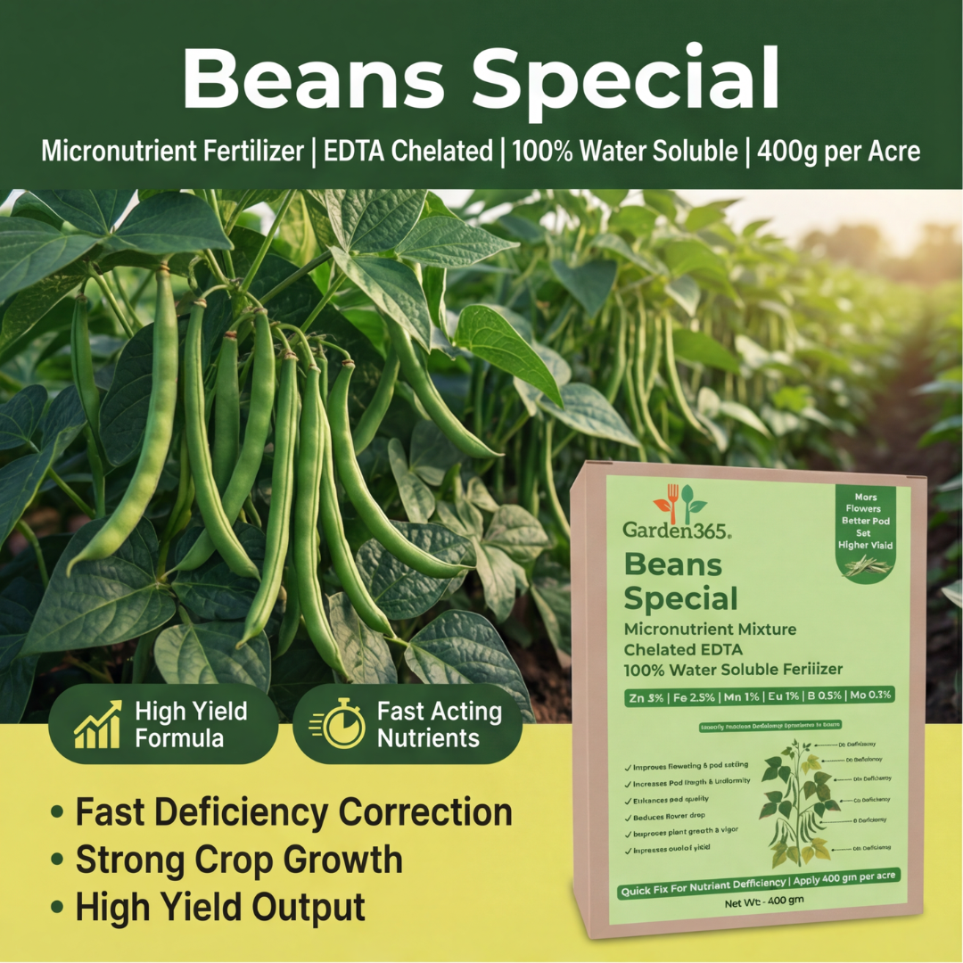 Beans Special Micronutrient Fertilizer  (बीन्स | ಬೀನ್ಸ್ | బీన్స్ | பீன்ஸ் | ബീൻസ്)  EDTA Chelated 100% Water Soluble Fertilizer – 400g per Acre