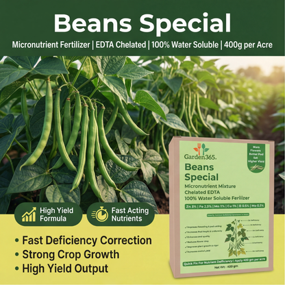 Beans Special Micronutrient Fertilizer  (बीन्स | ಬೀನ್ಸ್ | బీన్స్ | பீன்ஸ் | ബീൻസ്)  EDTA Chelated 100% Water Soluble Fertilizer – 400g per Acre