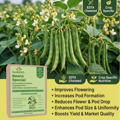 Beans Special Micronutrient Fertilizer  (बीन्स | ಬೀನ್ಸ್ | బీన్స్ | பீன்ஸ் | ബീൻസ്)  EDTA Chelated 100% Water Soluble Fertilizer – 400g per Acre