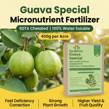 Guava Special Micronutrient Fertilizer  (अमरूद | ಸೀಬೆಹಣ್ಣು | జామ | கொய்யாப்பழம் | പേരയ്ക്ക)  EDTA Chelated 100% Water Soluble Fertilizer – 400g per Acre